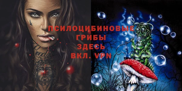 тгк Ессентукская